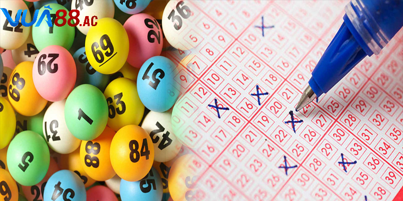 Những sai lầm cần tránh khi chơi xổ số để không mất tiền