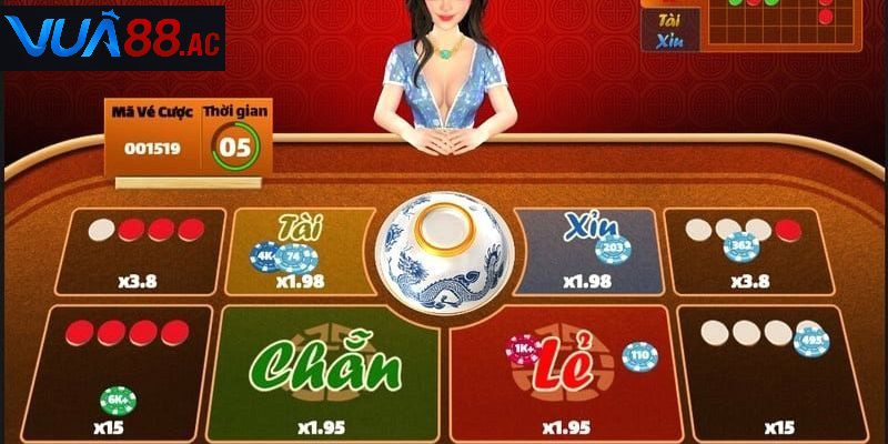 Người chơi dự đoán kết quả dựa trên bốn đồng xu úp