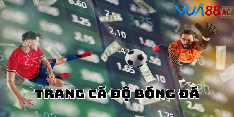 Kinh nghiệm sử dụng app cá cược bóng đá an toàn và hiệu quả
