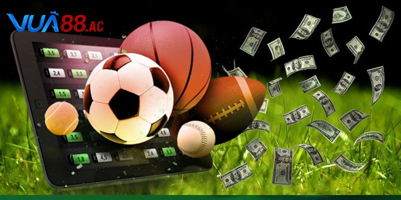 Những sai lầm khi cá cược bóng đá khiến bạn dễ mất tiền