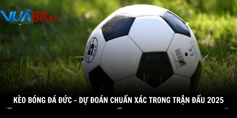 Phân tích tỷ lệ kèo Đức giúp bạn đặt cược hiệu quả hơn