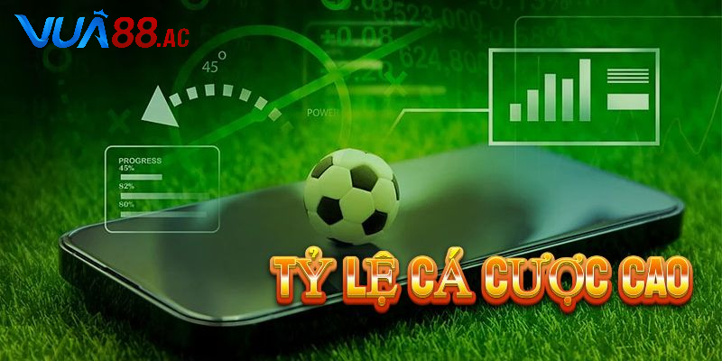 Kinh nghiệm soi kèo cá cược bóng đá từ dân chơi chuyên nghiệp