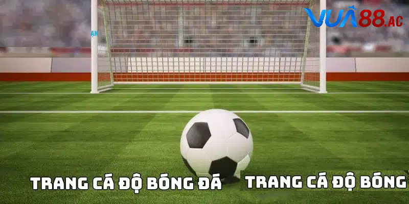 Cách chọn trang cá cược bóng đá an toàn cho người mới bắt đầu