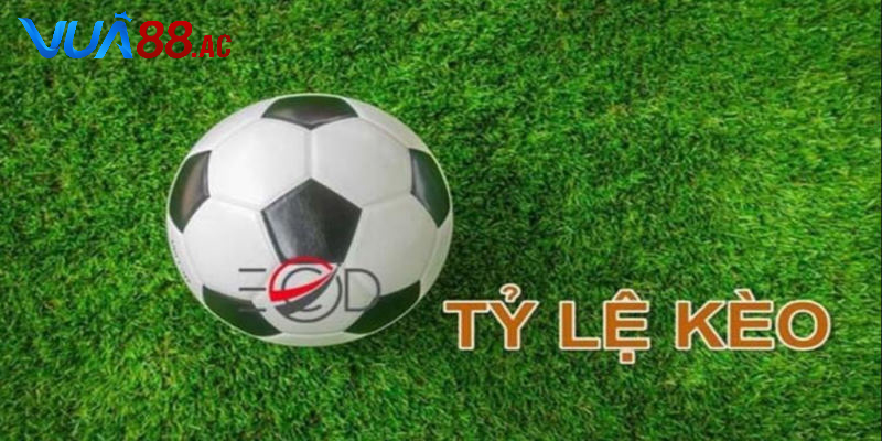 Kinh nghiệm phân tích tỷ lệ cá cược bóng đá dễ hiểu nhất