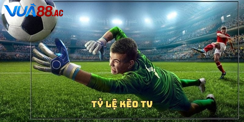 Phân tích tỷ lệ kèo TV trước trận giúp tăng cơ hội thắng