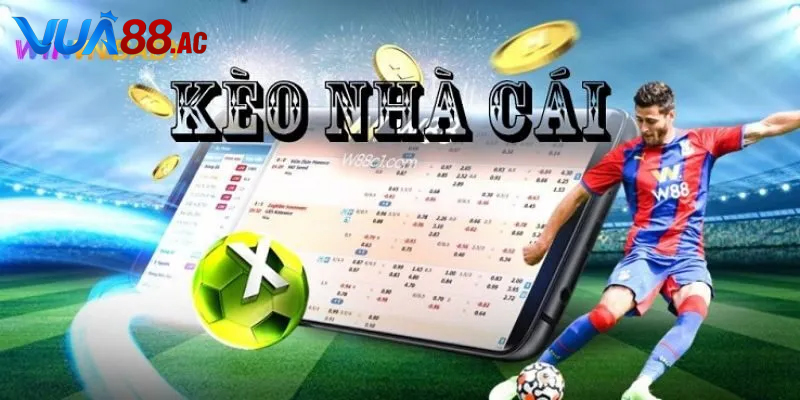 Tỷ lệ kèo TV là gì? Hướng dẫn xem kèo dễ hiểu